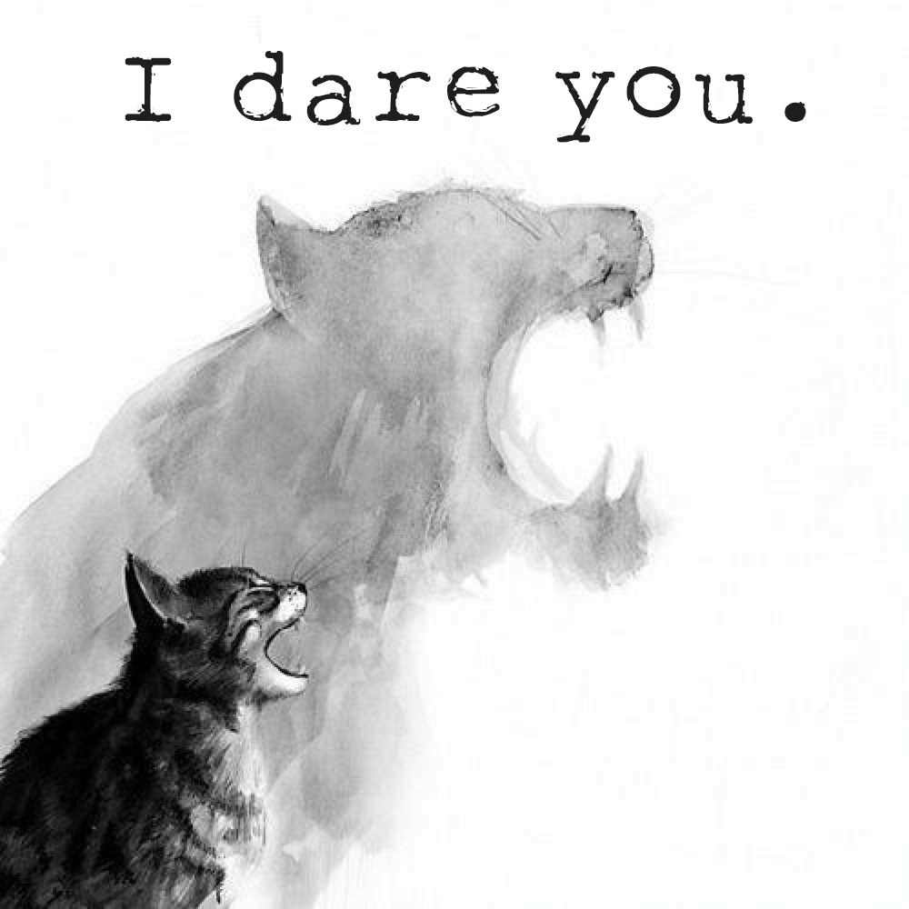 i dare you